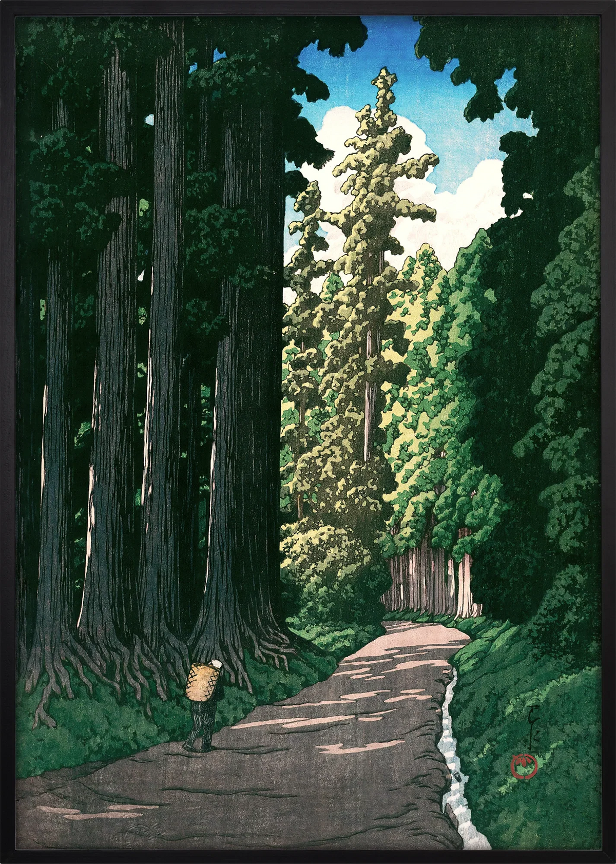 Nikko Cedar Path Art Print