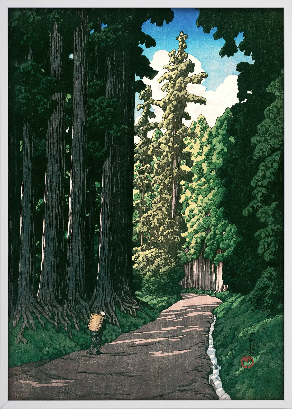 Nikko Cedar Path Art Print