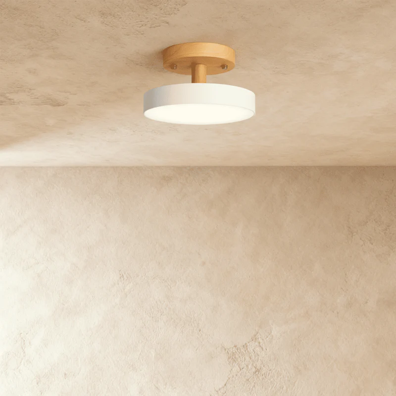 Velmora Ceiling Light