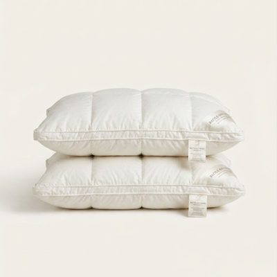 Hoshi Goose Down Pillow
