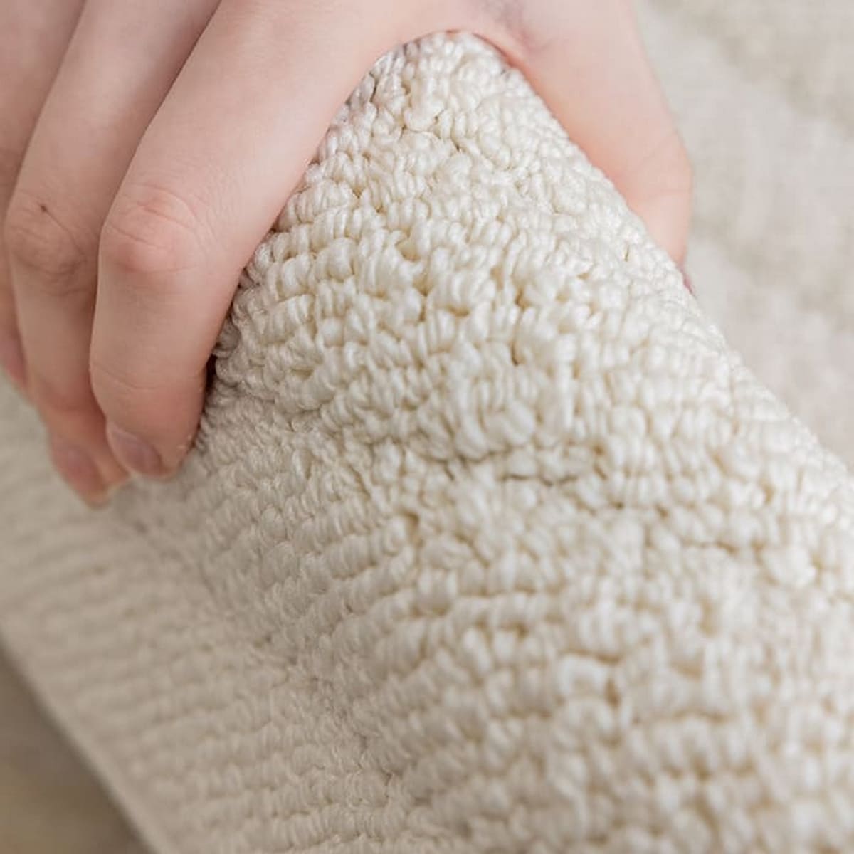 Riku Oval Area Rug