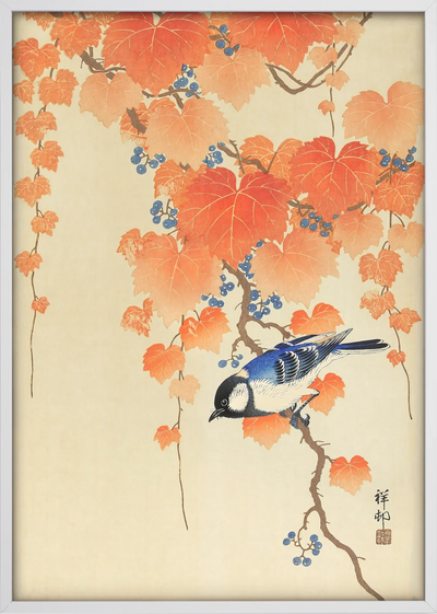 Aki Bird and Ivy Art Print