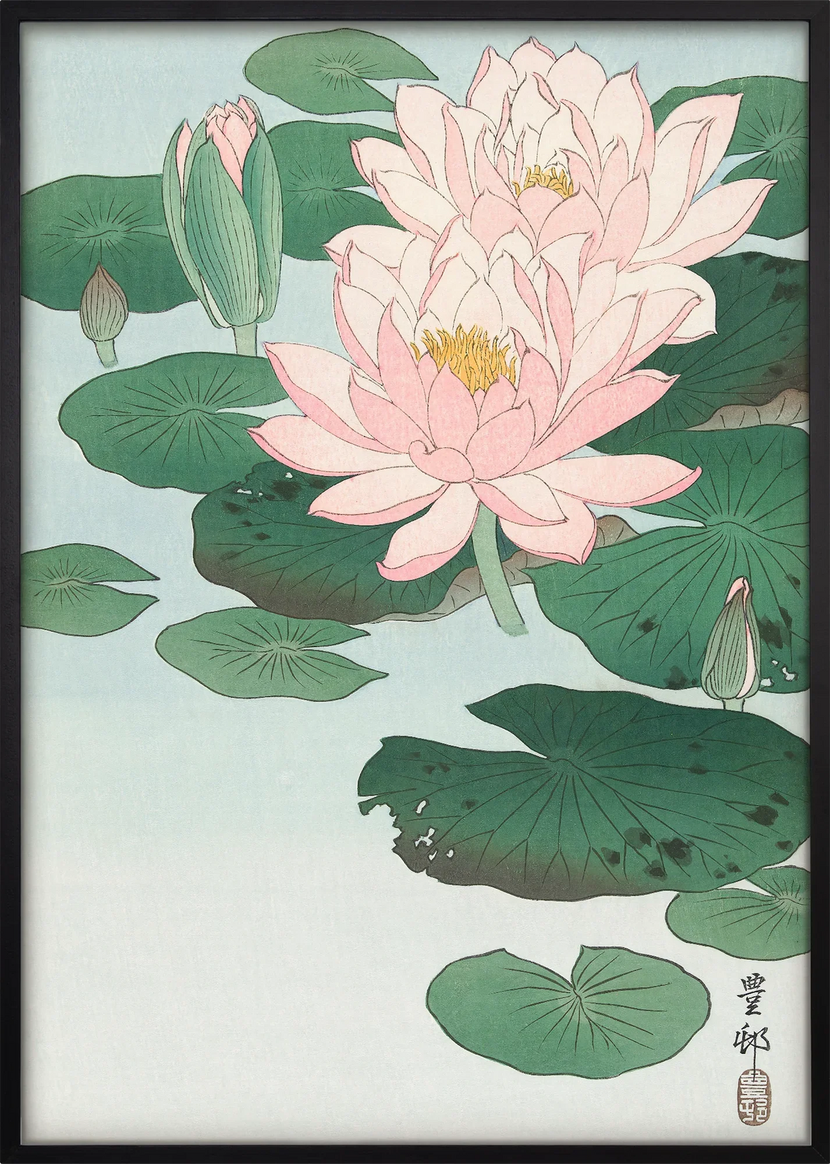 Hasu Water Lily Art Print