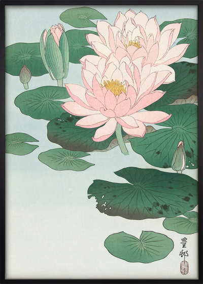 Hasu Water Lily Art Print