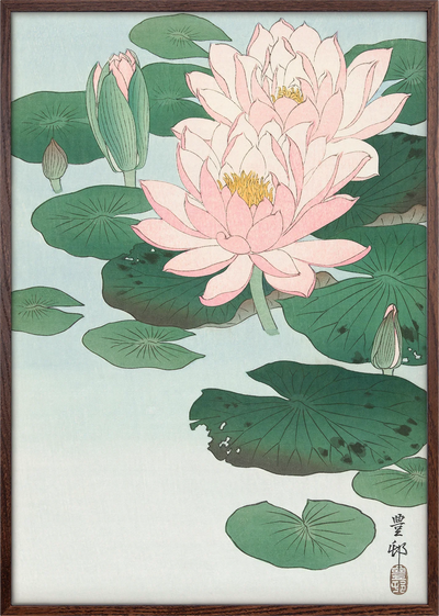 Hasu Water Lily Art Print