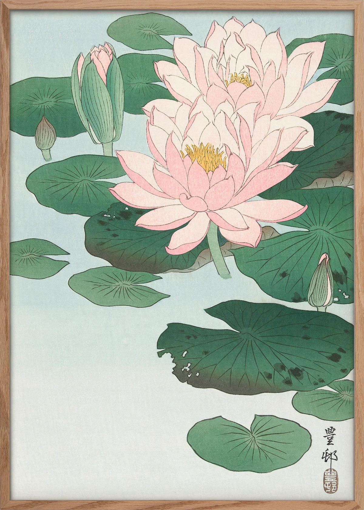 Hasu Water Lily Art Print
