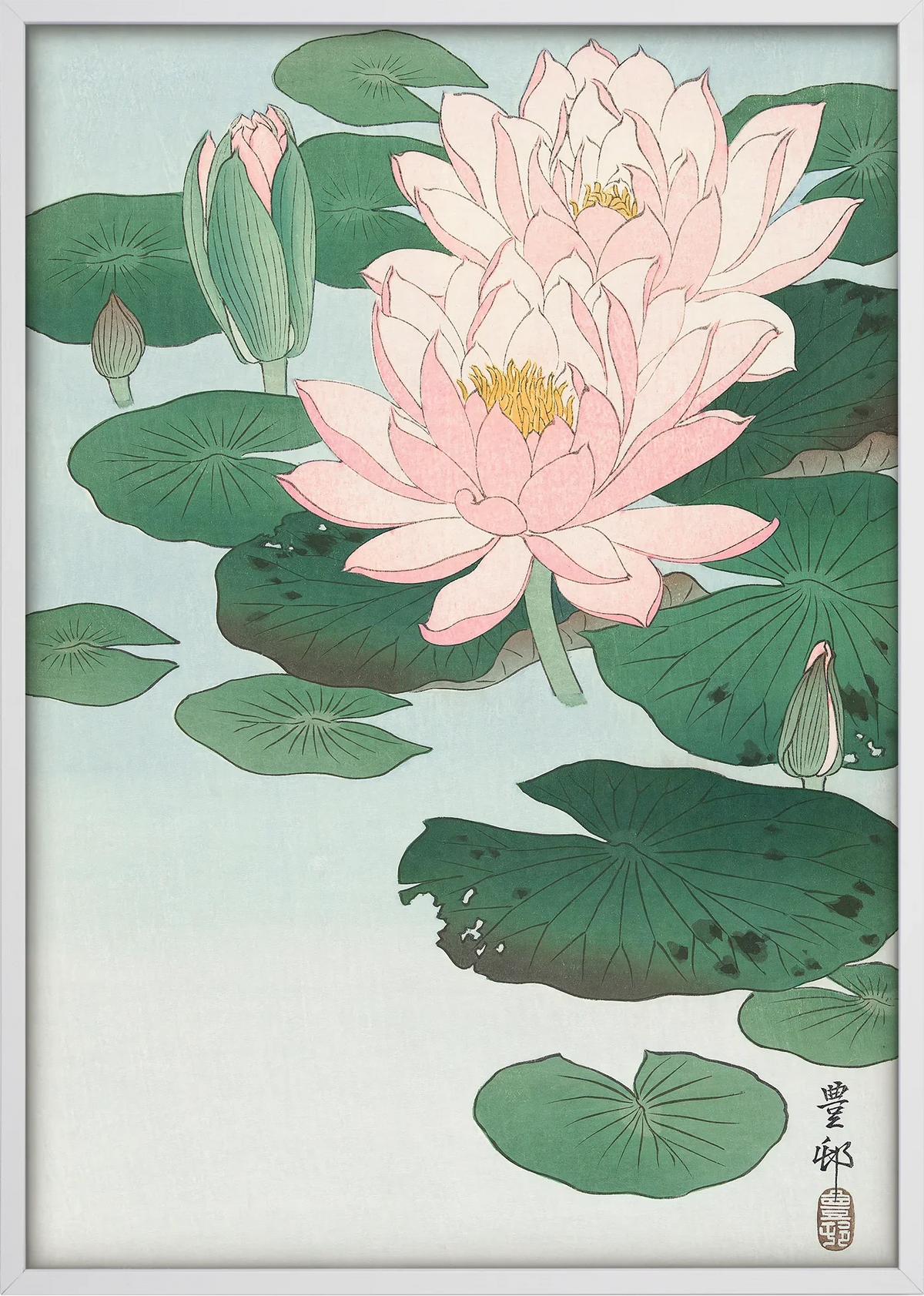 Hasu Water Lily Art Print