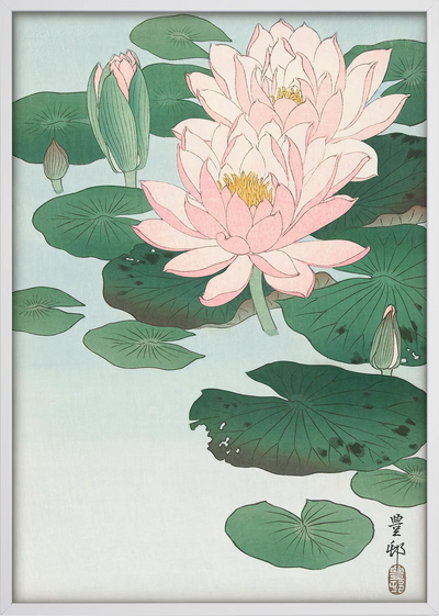 Hasu Water Lily Art Print