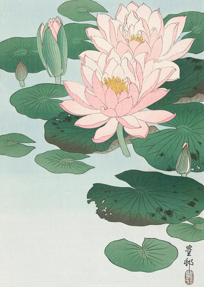 Hasu Water Lily Art Print