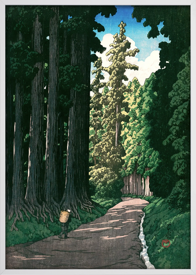 Nikko Cedar Path Art Print