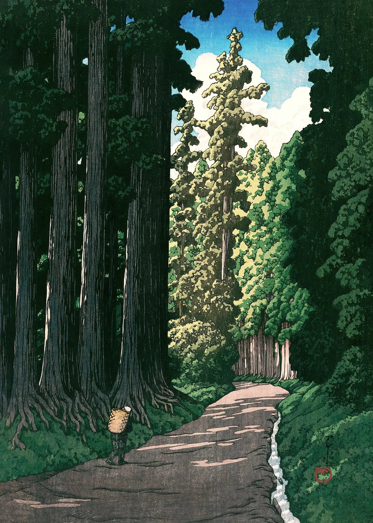 Nikko Cedar Path Art Print