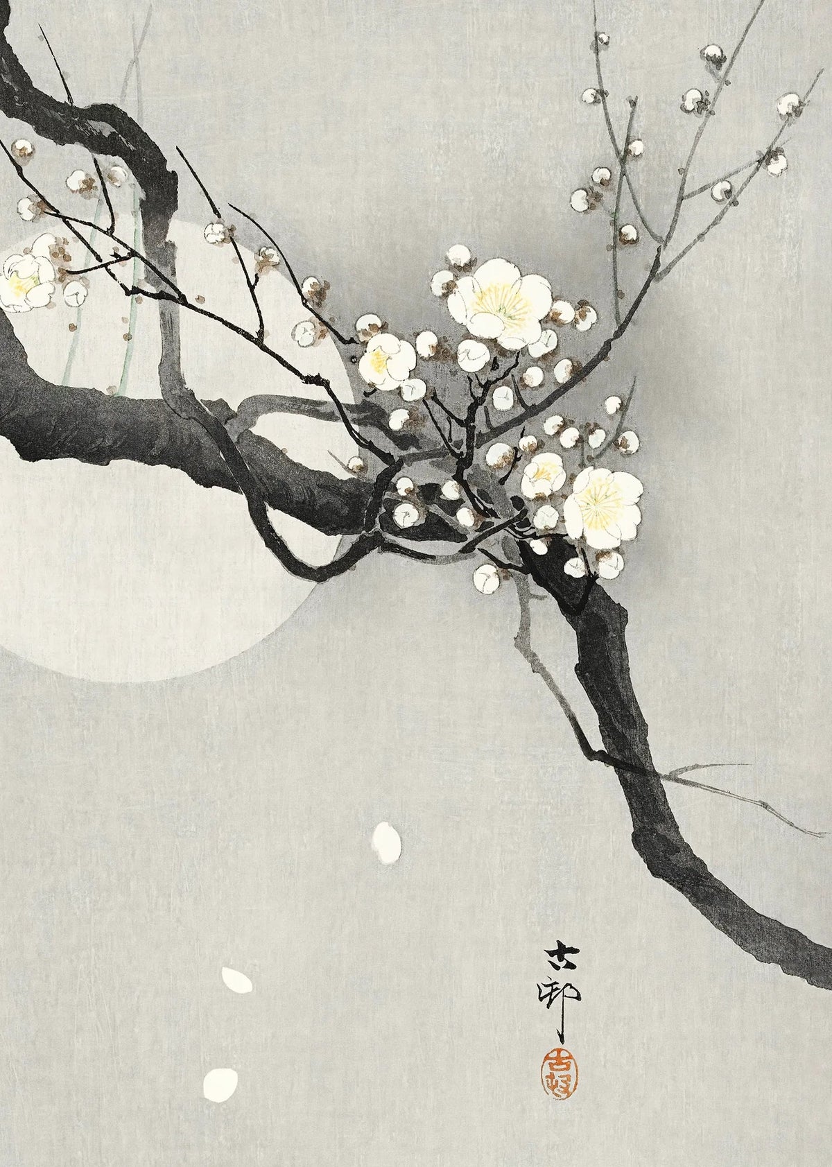 Tsukihana Plum Art Print