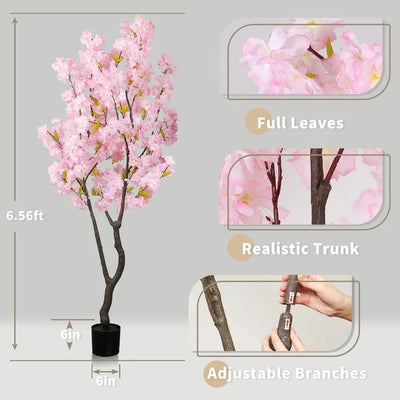 Sora Cherry Blossom Tree