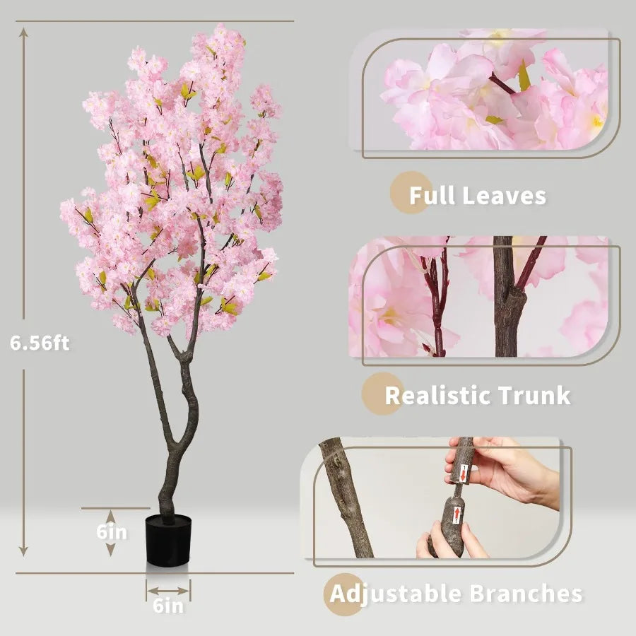 Sora Cherry Blossom Tree