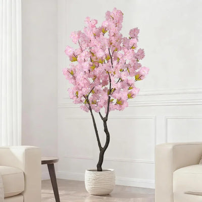 Sora Cherry Blossom Tree
