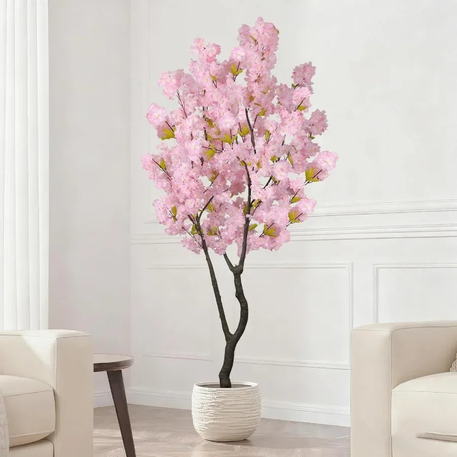 Sora Cherry Blossom Tree