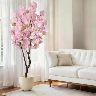 Sora Cherry Blossom Tree