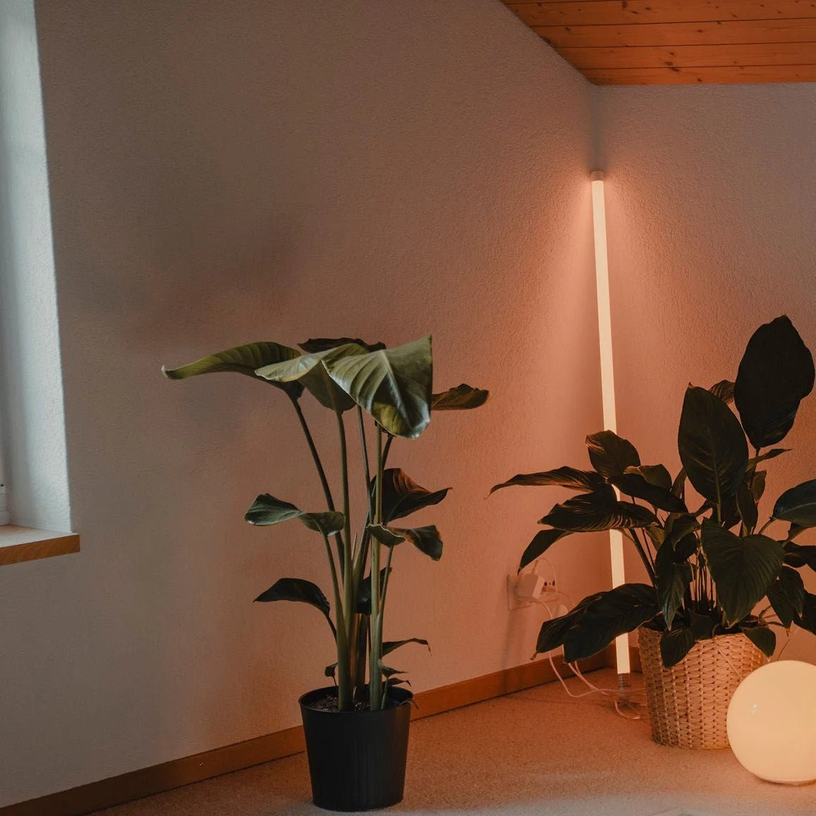 Luma Tube Floor Lamp