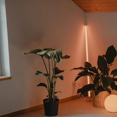 Luma Tube Floor Lamp
