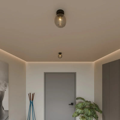 Arden Ceiling Light