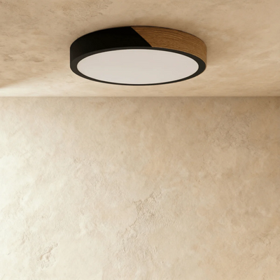 Nara ceiling light remote control function