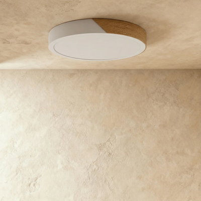 Nara ceiling light brightness dimming setup