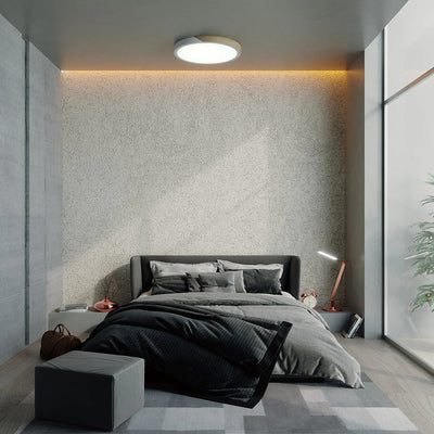 Nara ceiling light full product view LED fixture