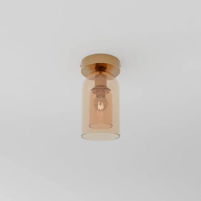 Arden Ceiling Light